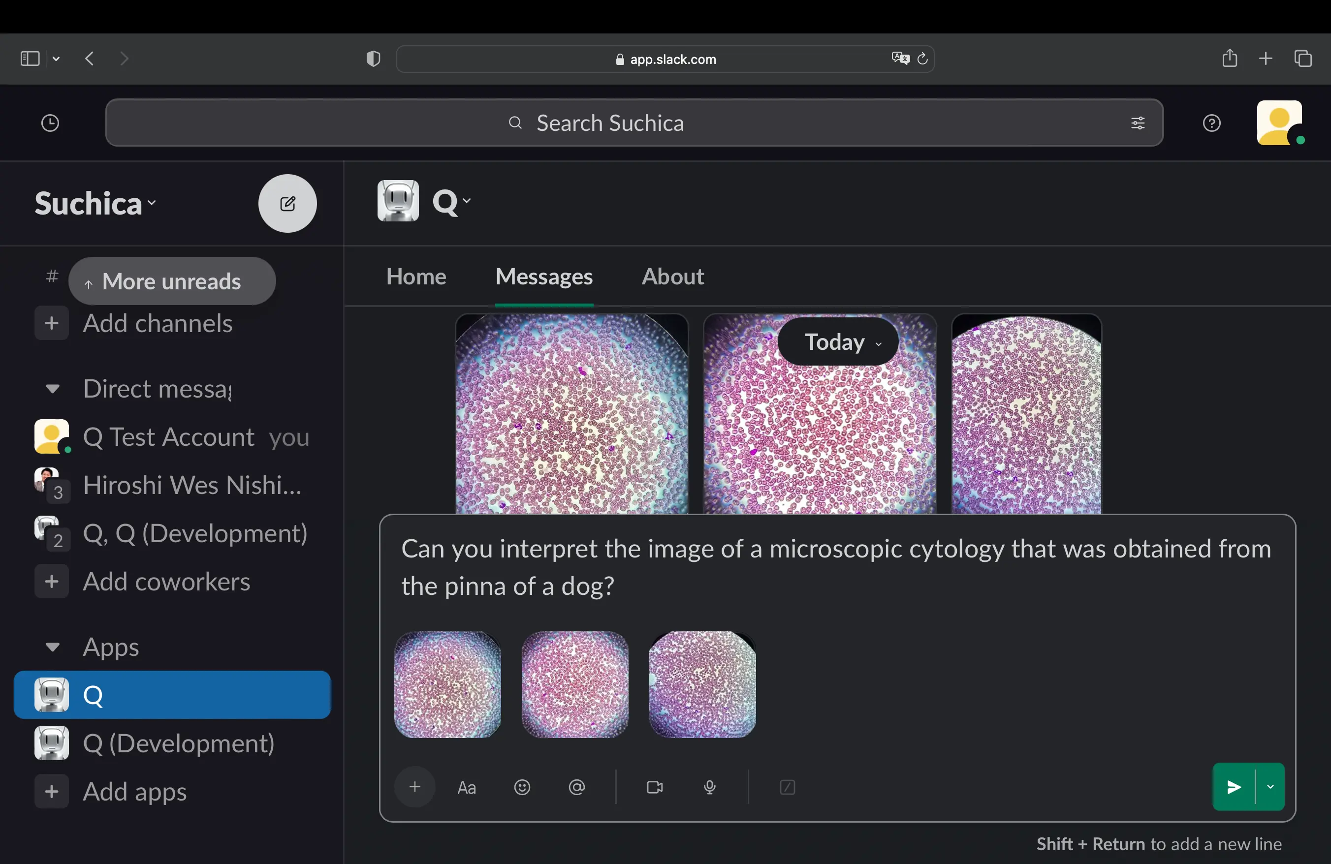Demo screen 2